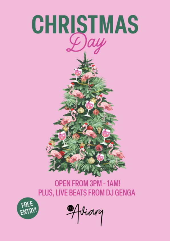 AVI-ChristmasDay-Web